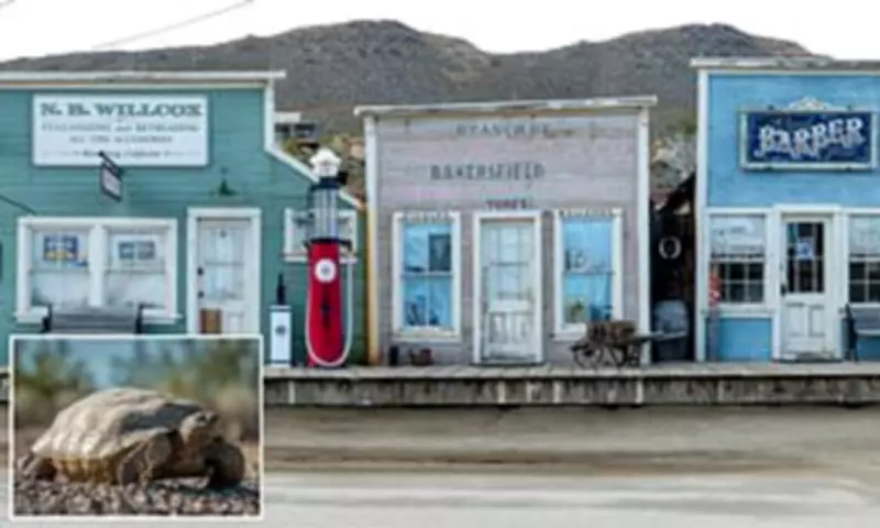 California Tortoise Law Threatens Survival of Historic Mining Town Randsburg
