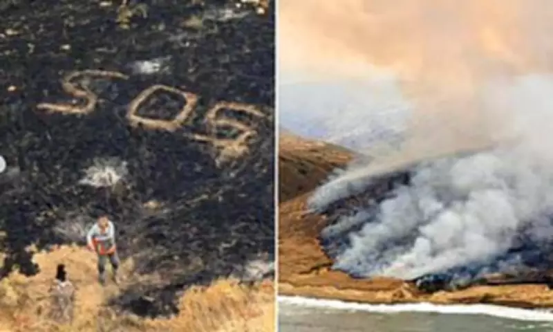 California Wildfire Started by Stranded Sailor's Flare Gun
