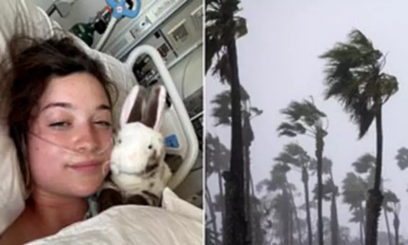 California Woman Paralyzed After Massive Tree Branch Falls on Her During Windstorm