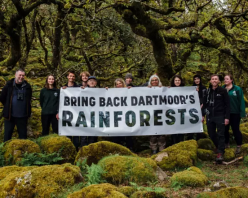 Campaign to Double England's Temperate Rainforest on Dartmoor