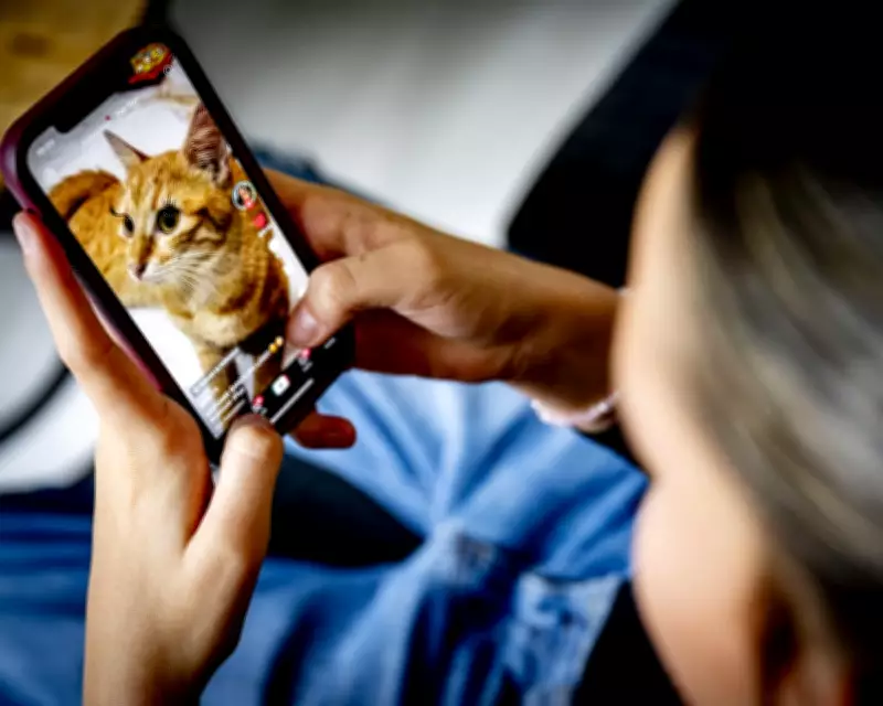 Campaigners Urge Starmer to Limit Under-16 Social Media Ban to Unsafe Apps