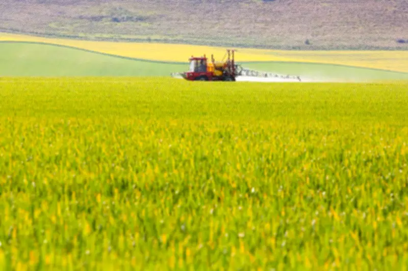 Campaigners Urge UK to Ban Glyphosate at Harvest After EU Prohibition