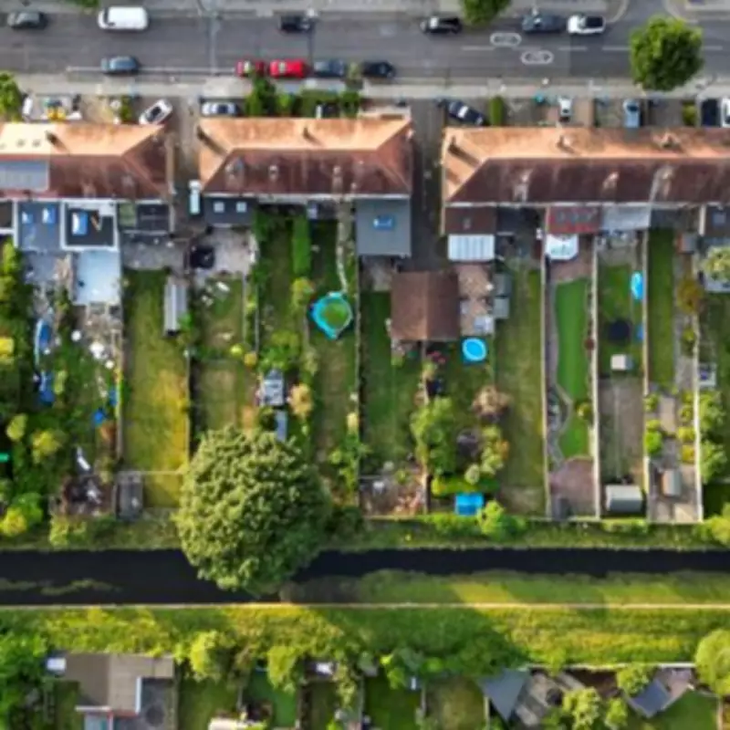 Can I Trim My Neighbour's Overhanging Tree Branches? Experts Agree