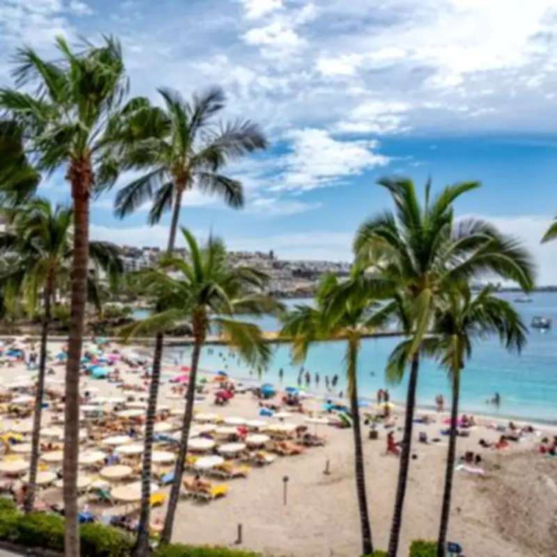 Canary Islands Heatwave Alert: Temperatures to Hit 37C, Avoid Alcohol