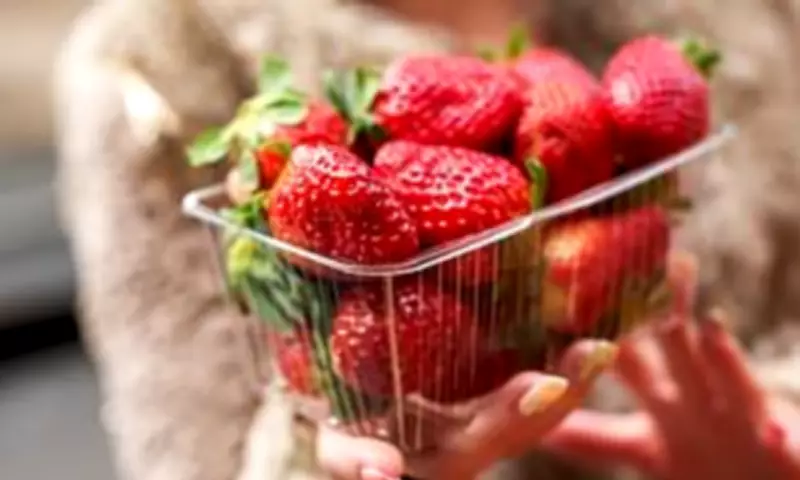 Cancer-Linked Chemicals Found in Driscoll's Strawberries, Investigation Reveals