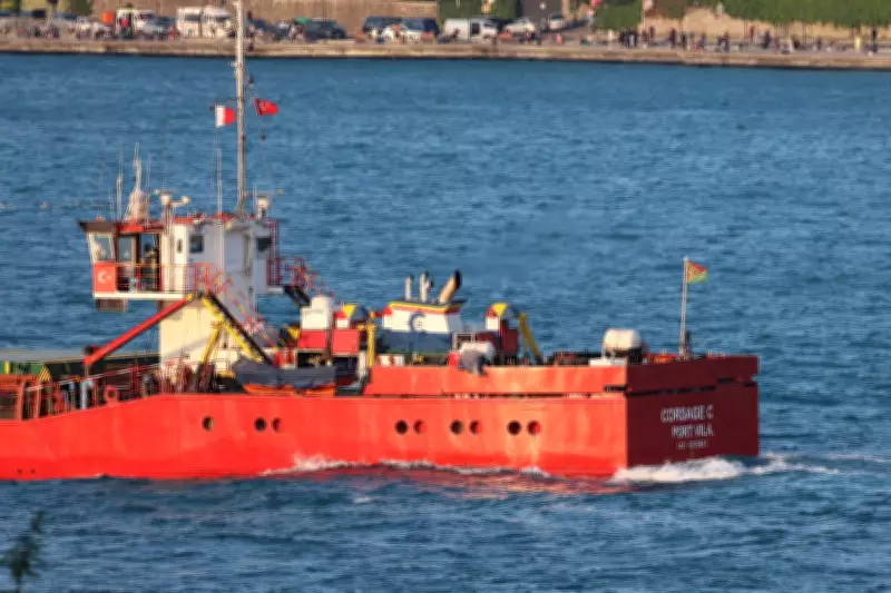 Cargo Ship Carrying Soda for Ukraine Sinks Near Greek Island of Andros