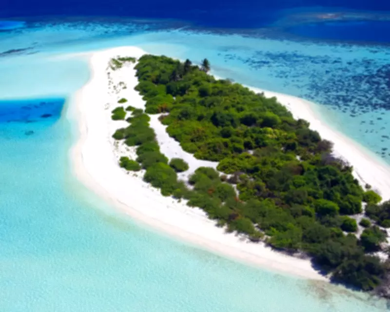 Cast Away Review: A Gripping Portrait of the Real Robinson Crusoe