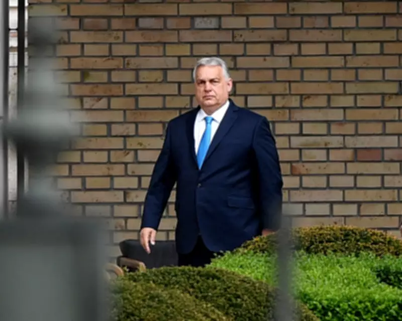 Central Europe as a Political Laboratory: Beyond Orbán-Style Populism