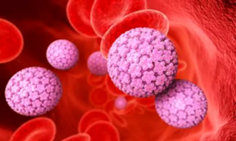 Cervical Cancer Elimination by 2048 Predicted for Wealthy Nations