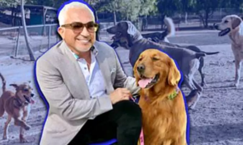 Cesar Millan's AI Dog Collar: $524 High-Tech Tool for Pet Owners