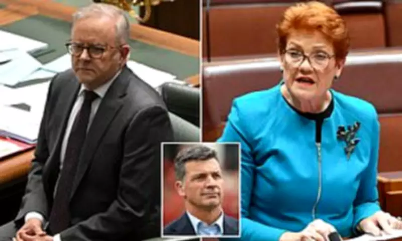 Chalmers' Budget Worst Since 1993 as Voters Flock to Hanson's Party