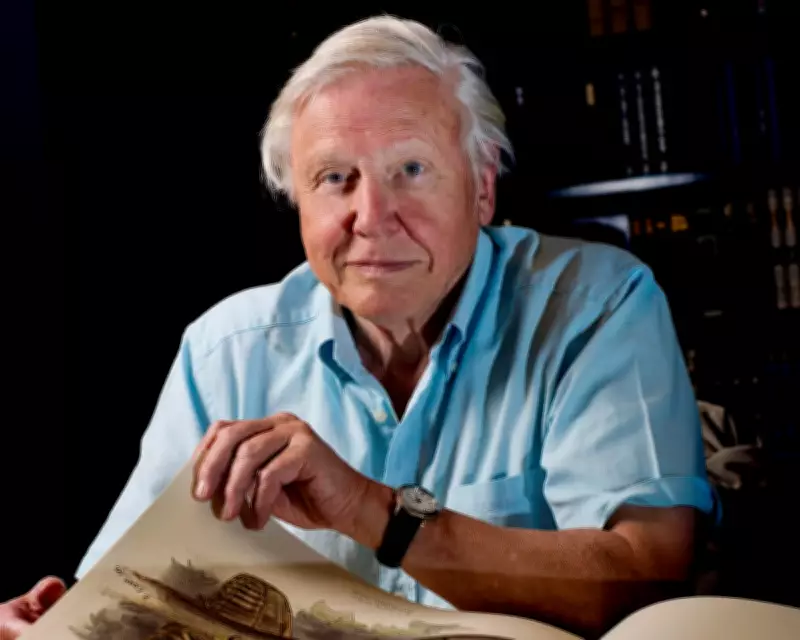 Chance Encounters with David Attenborough: Memories on His 100th Birthday