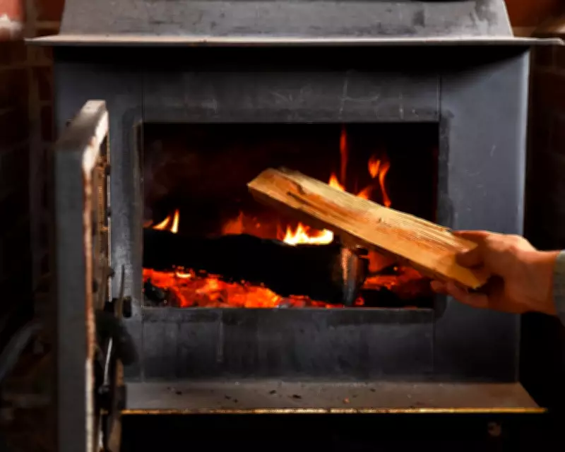 Charities Urge New Clean Air Act to Ban Wood Burning in UK