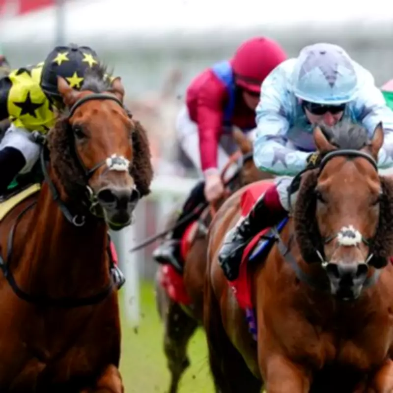 Chester Races Halted After Jockeys Report Slipping on Turf