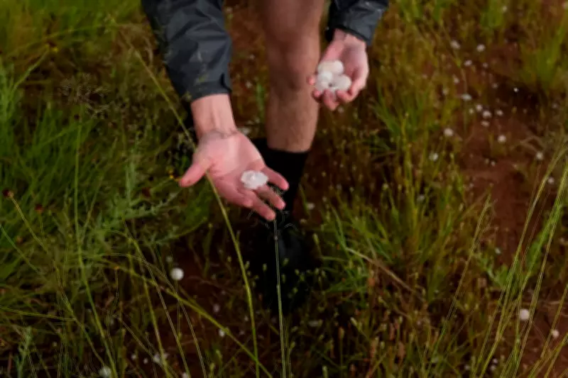 Climate Change Could Increase Damaging Hailstone Size by 47%