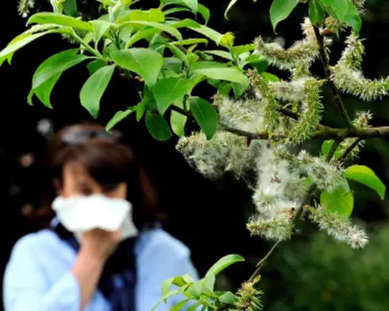 Climate Crisis Worsens Hay Fever, Pollen Season Lengthens by Two Weeks