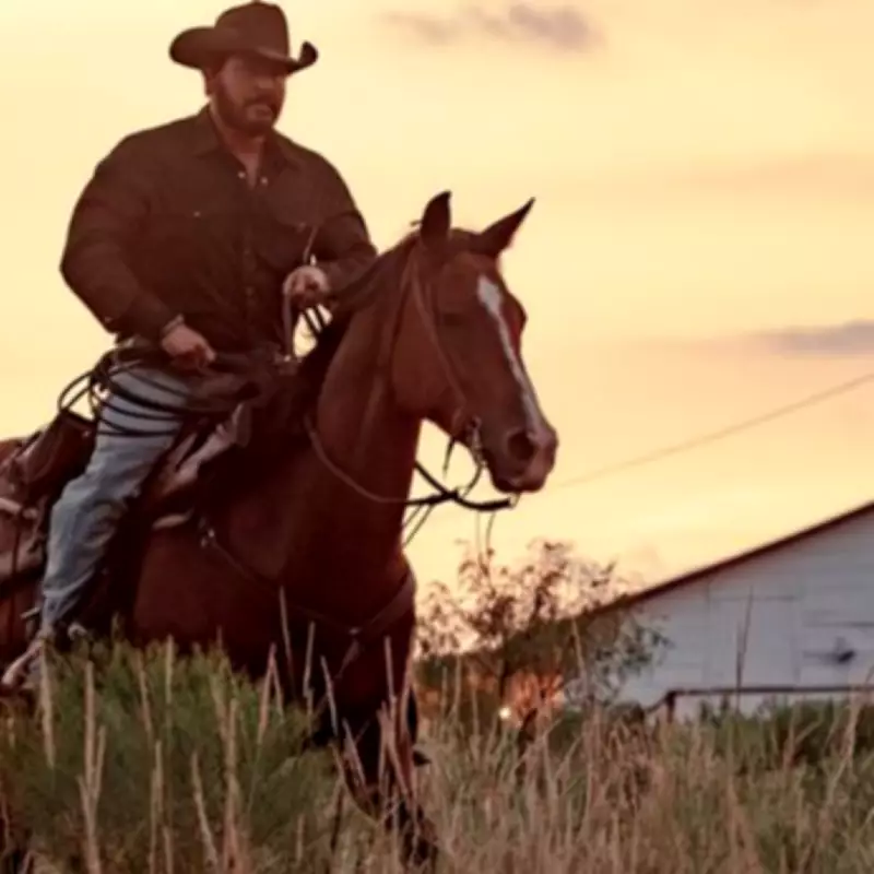 Cole Hauser's Life: Actress Wife, Famous Family, and Dutton Ranch Return