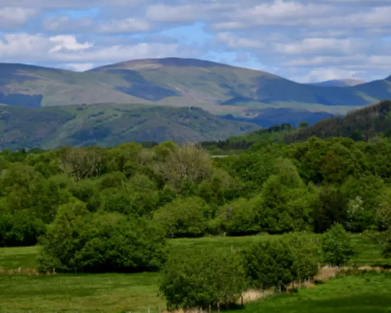 Country Diary: A Walk Through Talybont and Cors Fochno Bog