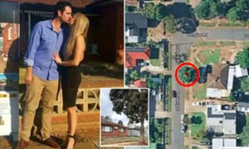 Couple's Housing Development Blocked by Single Tree on Council Strip