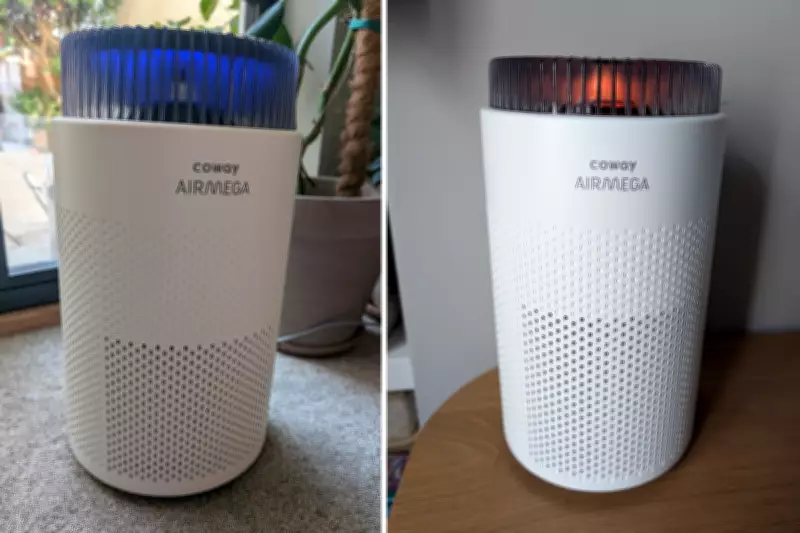 Coway Airmega 50 Air Purifier Review: Best Budget Option for Hay Fever