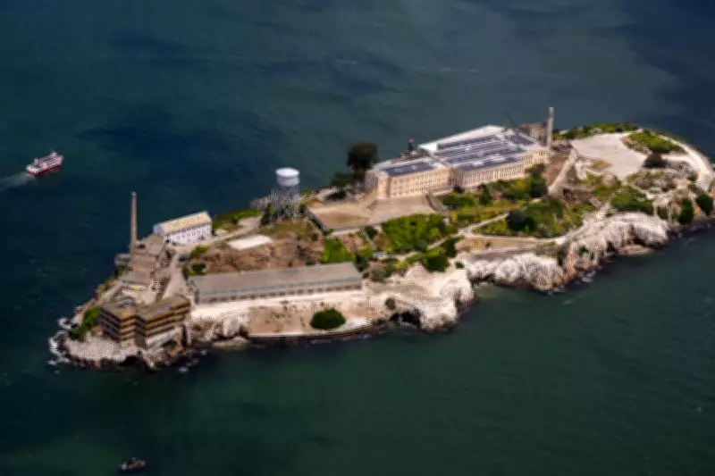 Coyote Stuns Experts with Two-Mile Swim to Alcatraz Island