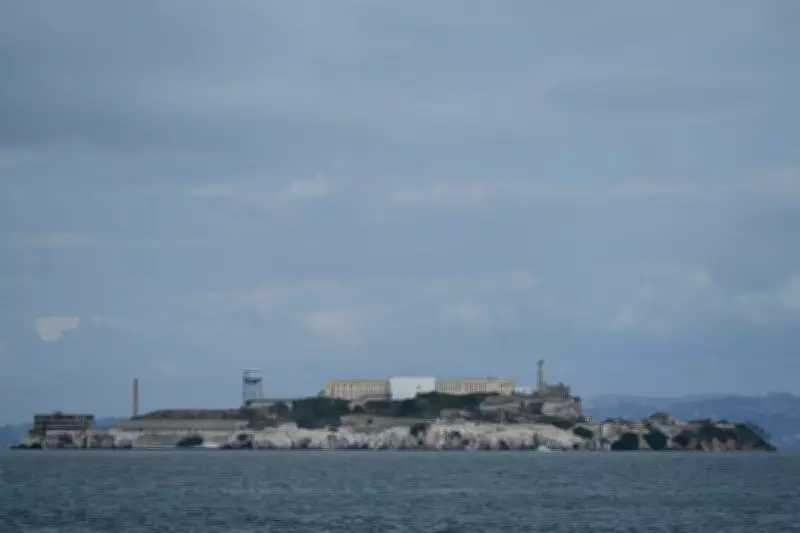 Coyote Swam 2 Miles to Alcatraz, Doubling Biologists' Expectations