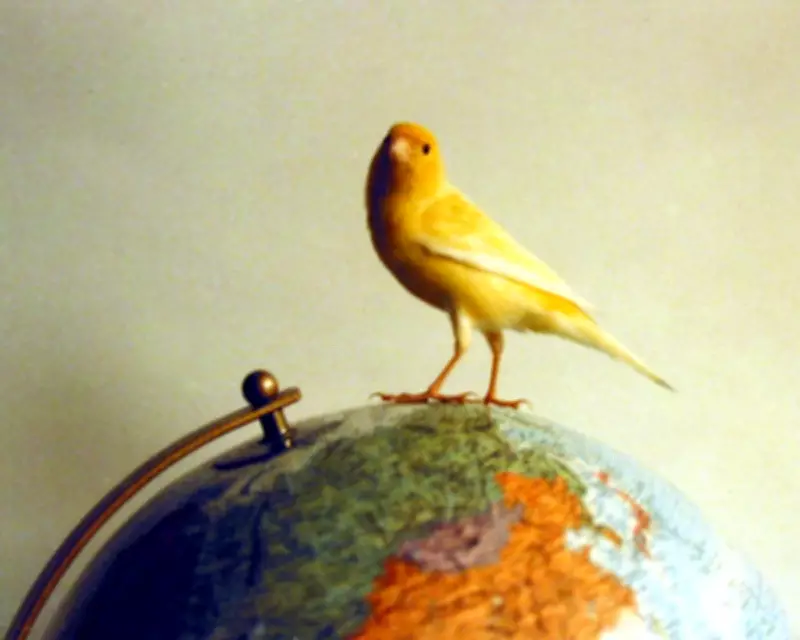 Crispin the Canary: A Tiny Bird with a Giant Ego and Voice