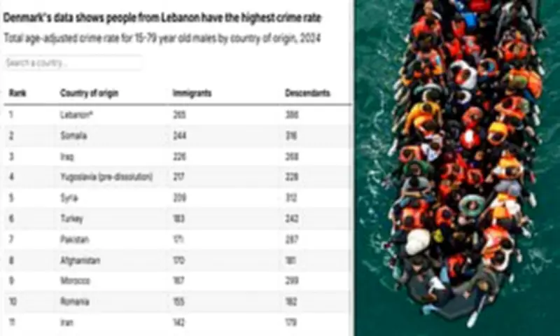 Danish Data Shows Migrants Three Times More Likely to Commit Crime Than Natives