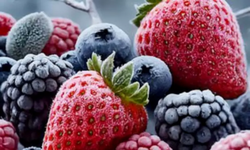 Dark Fruits and One Coffee Daily May Slow Ageing, Study Finds