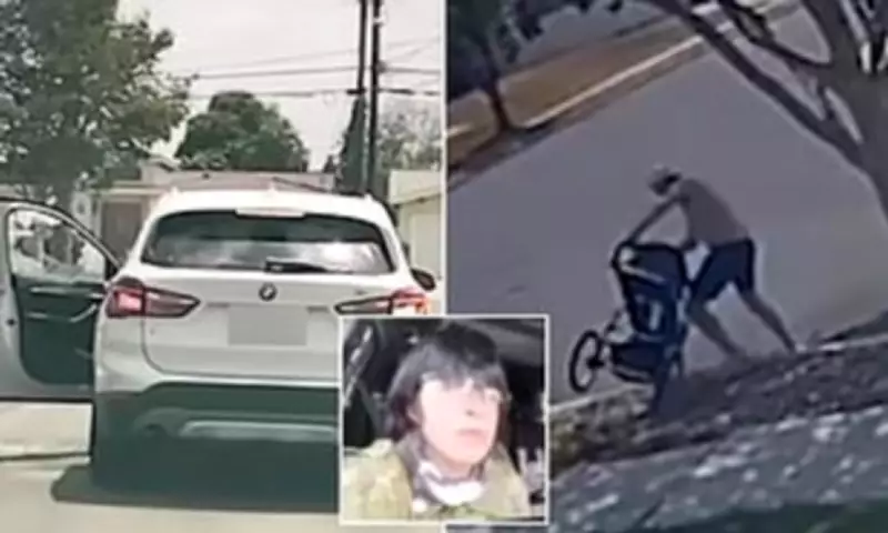 Dashcam Captures San Diego Mosque Attackers Firing at Landscaper