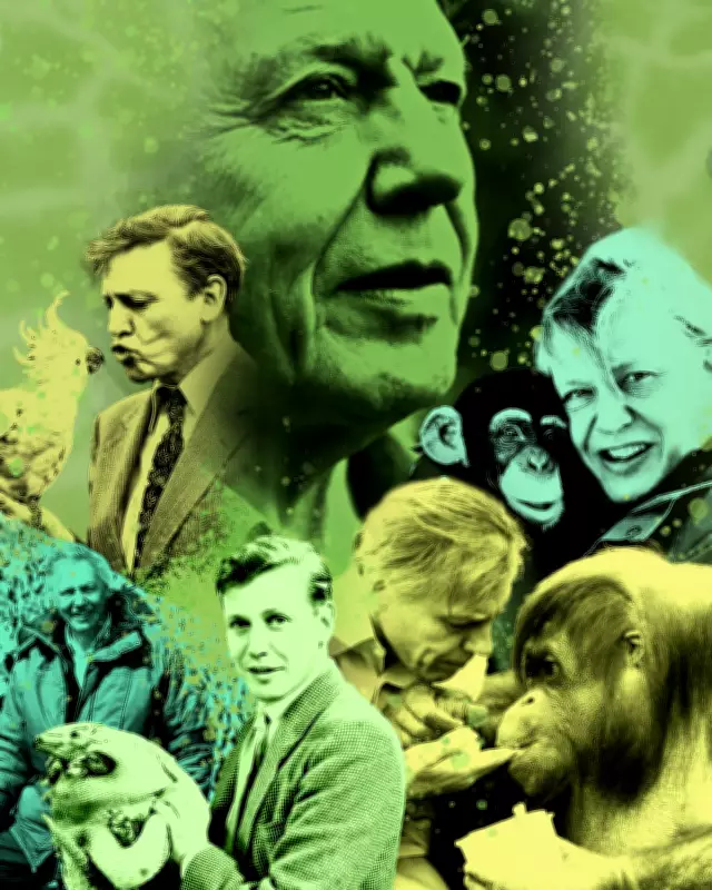 David Attenborough at 100: His 100 Most Spectacular TV Moments