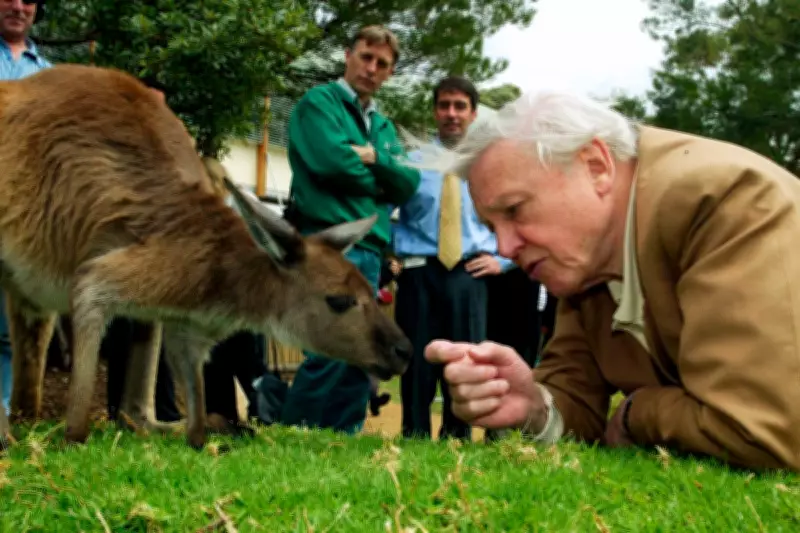 David Attenborough Turns 100: Celebrating a Life of Wildlife Wonders