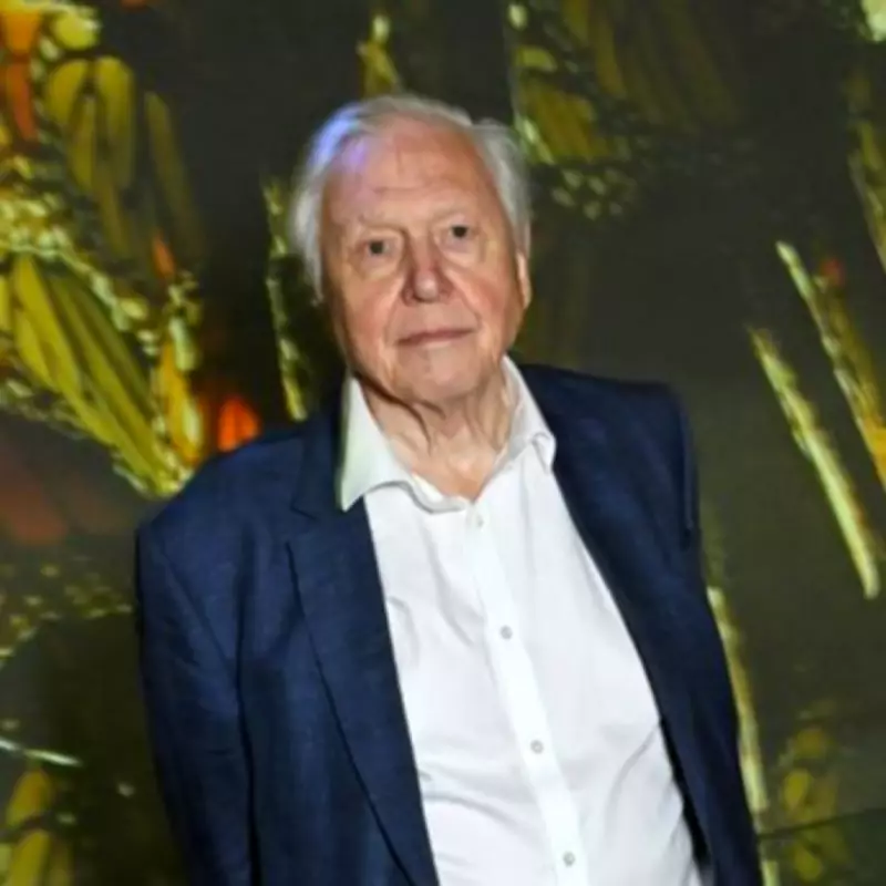 David Attenborough 'Would Like Nothing to Happen' for 100th Birthday