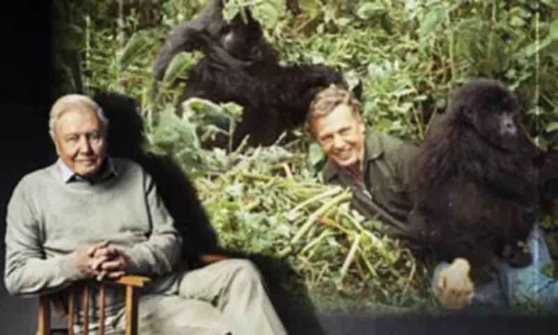 David Attenborough's 100th Birthday: A Life of Wonder and Legacy