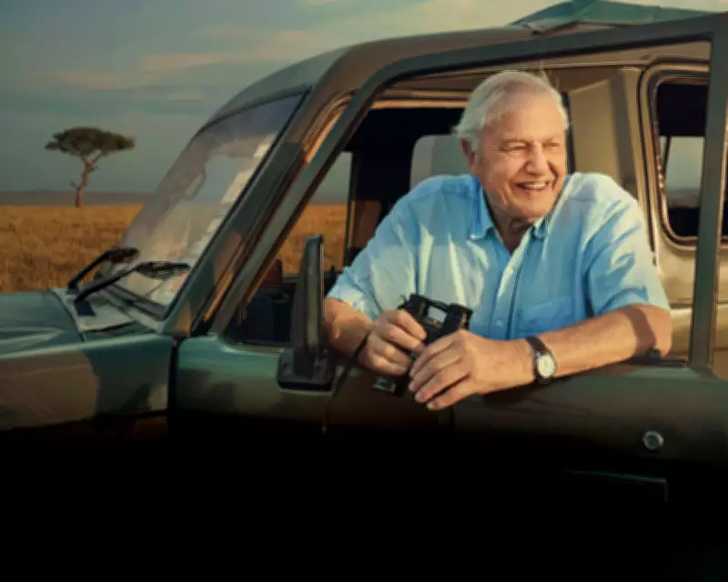 David Attenborough's 100th Birthday TV Special Tonight
