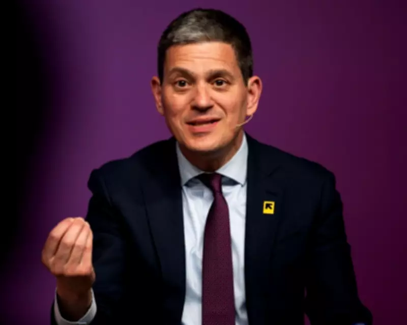David Miliband Calls for National Consensus on Rejoining EU