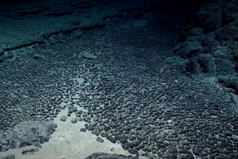 Deep-Sea Mining Surge: US Firms Race to Seabed Minerals