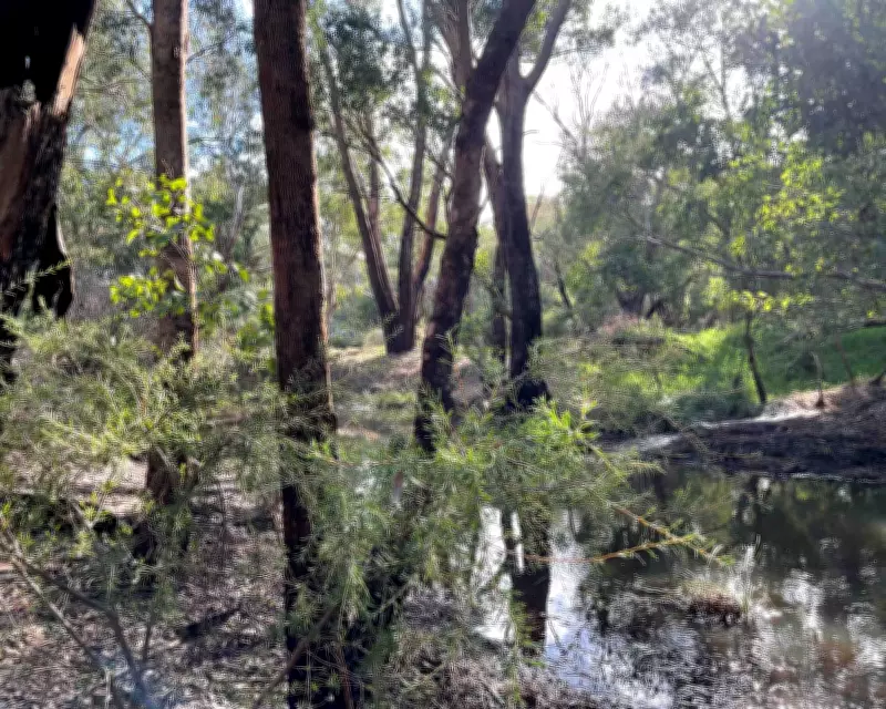 Developer Scraps Perth Data Centre Plans After Community Backlash