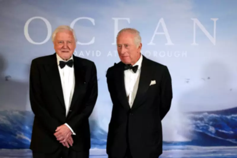 DiCaprio and Beckham Lead Tributes for Attenborough's 100th Birthday