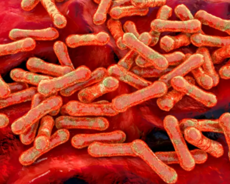 Diphtheria Outbreak Hits Remote Aboriginal Communities in NT