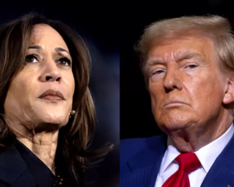 DNC Autopsy Reveals Reasons for 2024 Presidential Election Loss