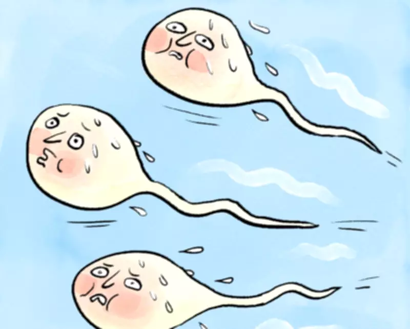 Do Saunas Reduce Sperm Count? Expert Says Minimal Effect