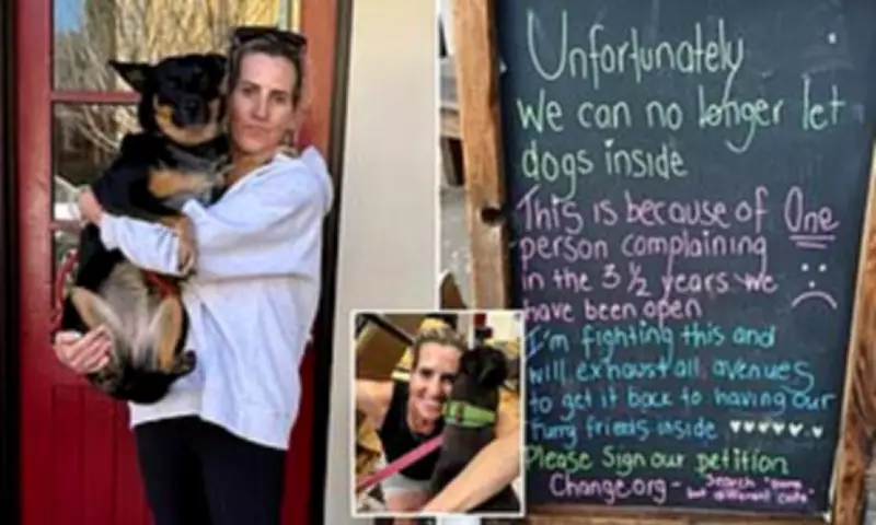 Dog Ban at Cafe in Tourist Town Sparks Outrage After Single Complaint