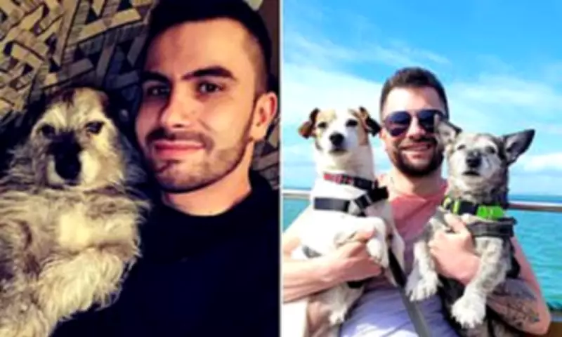 Dog Owner Left with PTSD After XL Bully Attack Kills Pet Spirit