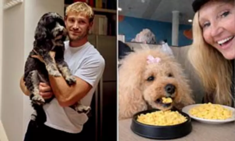 Dog Owners Ditch Kibble for Fresh, Human-Grade Meals for Their Pets