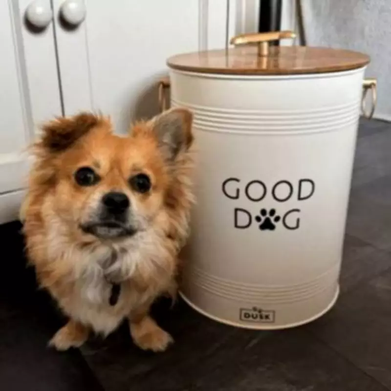 Dog Owners Rave About 'Big and Fantastic' Pet Food Bucket Reduced to £18