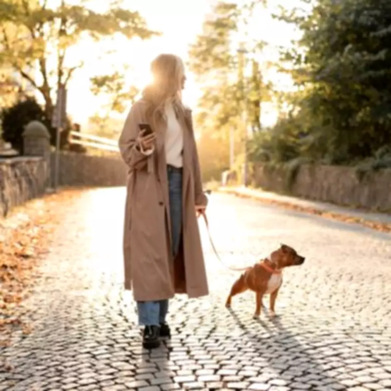 Dog Trainer Warns Flat Owners: No Walks in Heatwave