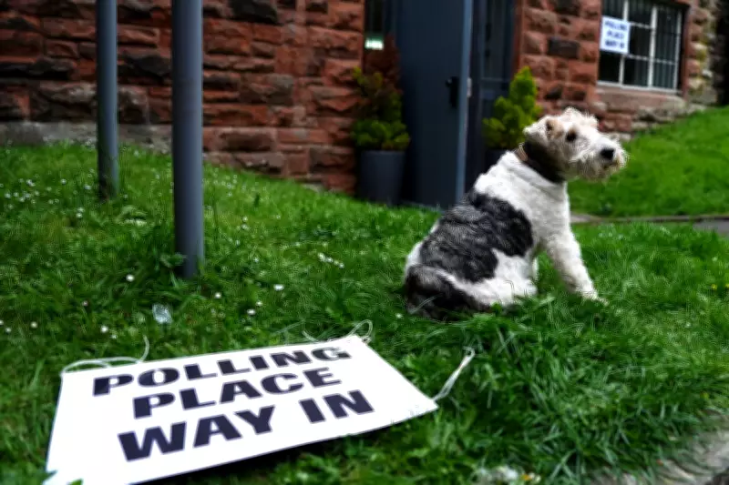 Dogs Join Owners at Polling Stations as UK Votes in Key Elections