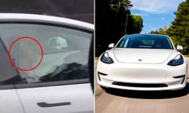Driver Sleeping at Wheel of Self-Driving Tesla Caught on Highway