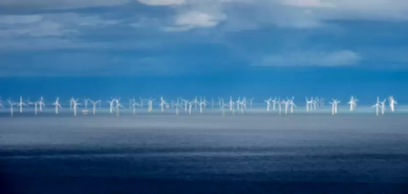 Driving the Green Transition: Readers Respond to Guardian Editorial